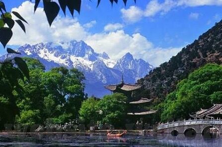 廖彩杏绘本-绘梦之境，廖彩杏绘本的艺术之旅