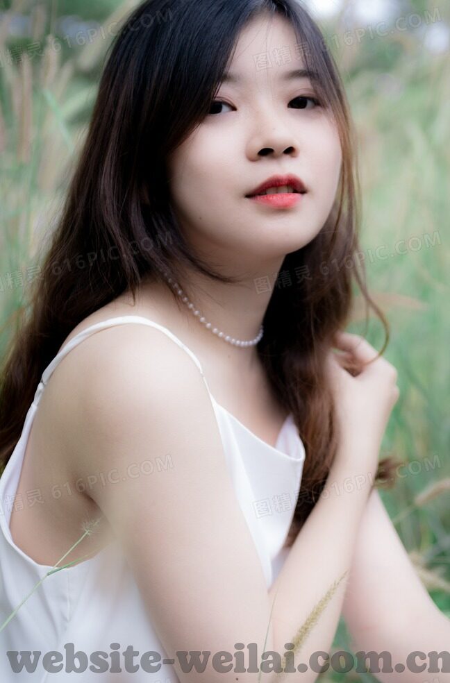 佩里西奇缺席世界杯-佩里西奇缺席世界杯，克罗地亚的战术调整与未来展望