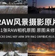 世界杯图集 比利时-世界杯图集，比利时黄金一代的荣耀与遗憾