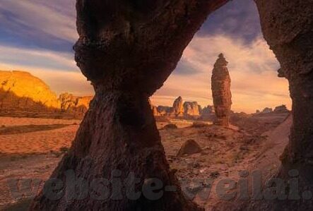 足球比分网网-足球比分网，球迷的数字战场与数据狂欢